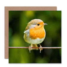 Xmas Merry Red Breast Robin Cute Christmas Card