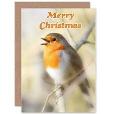 Xmas Robin Red Breast Christmas Card