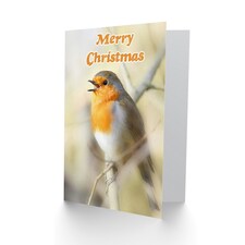 Xmas Robin Red Breast Christmas Card thumbnail 2