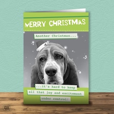 Merry Christmas Another Christmas Joy & Excitement Under Control Seasonal Greetings Card