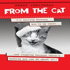Smiling Because You're My Owner - Christmas Card From The Cat