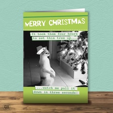 Cat Pulls Down Christmas Tree - Funny Christmas Card