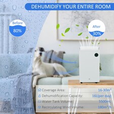 HOMCOM 16L/Day Quiet Air Dehumidifier with Purifier, UVC, Timer, White thumbnail 4