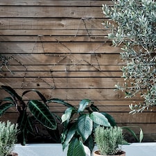 ValueLights IP44 Small Black Outdoor Warm White Star Light | Black thumbnail 2