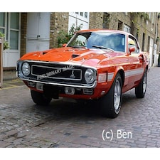 Revell 1970 Shelby Mustang GT500 (1:25 Scale)