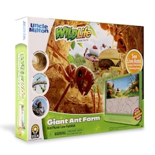 Giant Ant Farm thumbnail 3