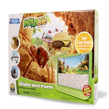 Giant Ant Farm thumbnail 4