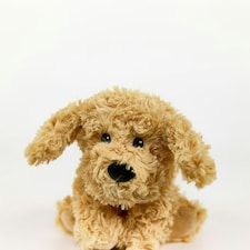 Warmies Cockapoo Plush Mini Size, Fully Microwavable and Weighted Cuddly Toy for Anxiety, Chill in The Freezer or Heat in Microwave, Soft Toy Heat Pad thumbnail 2