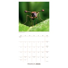 BBC EARTH 2026 SQUARE CALENDAR thumbnail 2