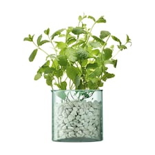 LSA Canopy Recycled Sustainable 13.5cm Glass Planter thumbnail 3