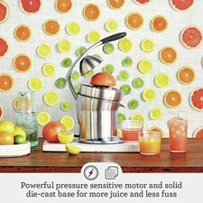 Sage The Citrus Press Pro, Quiet Automatic Orange & Grapefruit Juicer - Lemon & Lime Squeezer - Acid-Resistant Die-Cast Stainless thumbnail 2