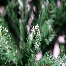 Christmas Stockholm Pine Artificial Designer Tree Berries & Frosted Cones Mixed | Green | Green thumbnail 10