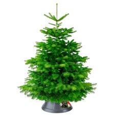 Elho Nordman Anthracite Grey Christmas Tree Stand for Real Trees up to 10ft Tall thumbnail 2