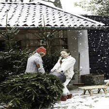 Elho Nordman Anthracite Grey Christmas Tree Stand for Real Trees up to 10ft Tall thumbnail 4