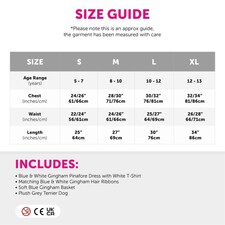 Kansas Girl Costume - Soft Basket & Dog Blue | L thumbnail 6