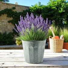 White Wash Embossed Zinc Planter (H18 x W20cm) Silver thumbnail 2