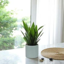 Matte Grey Ceramic Indoor Plant Pot H13 x W13.5cm Grey thumbnail 2