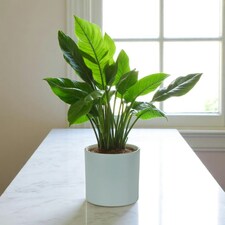 Matte Grey Ceramic Indoor Plant Pot H15 x W15.5cm Grey thumbnail 2