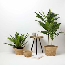 Homescapes Set of 3 Woven Storage Baskets, Natural Grass and Rope Cream thumbnail 5