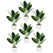 Pack of 6 x 45cm Artificial Aureum Plant