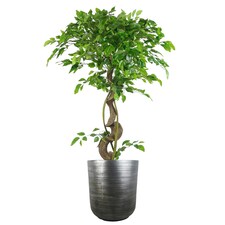 39cm x 33cm Coya Silver Ridged Planter Large Composite Plant Pot thumbnail 2