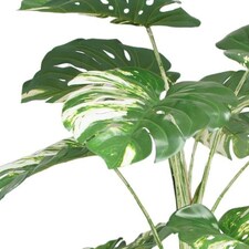 180cm Variegated Monstera Realistic Artificial Tree thumbnail 2