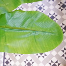 180cm Artificial Banana Tree Tropical Plant Copper Metal Planter thumbnail 4