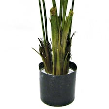 150cm Artificial Kentia Palm Tree thumbnail 3