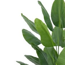 200cm Traveller Palm Artificial Tree Realistic thumbnail 2