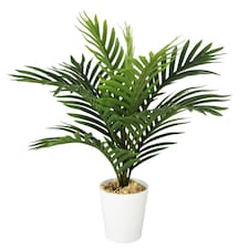 Pack of 6 x 50cm Artificial Mini Palm Tree thumbnail 3