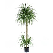 180cm Dracaena Realistic Artificial Tree