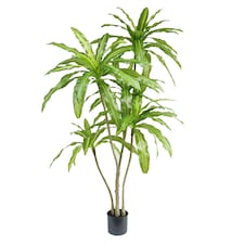 180cm Striped Dracaena Realistic Artificial Tree