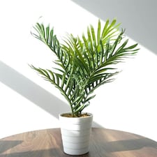 50cm Artificial Mini Palm Tree thumbnail 2