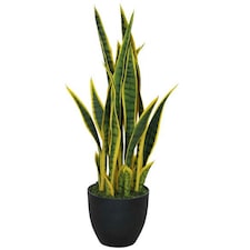 70cm Artificial Sansevieria with pot