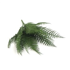 35cm Fire Resistant Artificial Fern Stem thumbnail 2