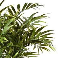 Pack of 6 x 40cm Fire Retardant Artificial Palm Tree Stem thumbnail 2