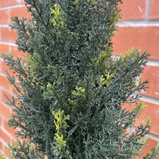 120cm Artificial Natural Look Cedar Tree thumbnail 7