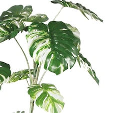 210cm Variegated Monstera Realistic Artificial Tree thumbnail 2