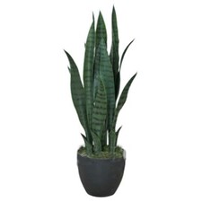 70cm Artificial Sansevieria Dark Green