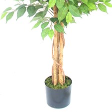150cm Artificial Ficus Tree thumbnail 3