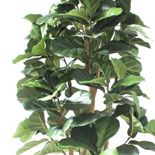 180cm Artificial Fiddle Fig Deluxe Tree thumbnail 2