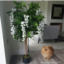 130cm Luxury Artificial Wisteria Tree White Flowers - Premium Range Silver Metal Planter thumbnail 5