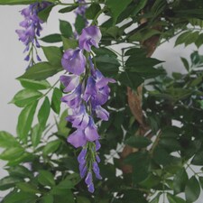 110cm Artificial Purple Wisteria Tree with Silver Metal Planter thumbnail 3
