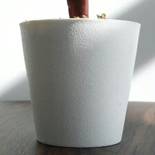 38cm Potted Artificial Calathea Veitchiane thumbnail 3