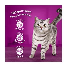 Whiskas 7+ Senior Wet Cat Food Poultry Feasts in Jelly thumbnail 2